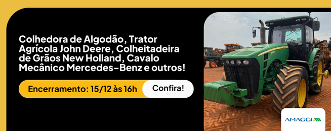 banners_ago-out-nov_2025 (19).png