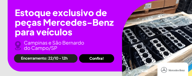 banner_bolsa-leiloes_12122024-1 (8).png