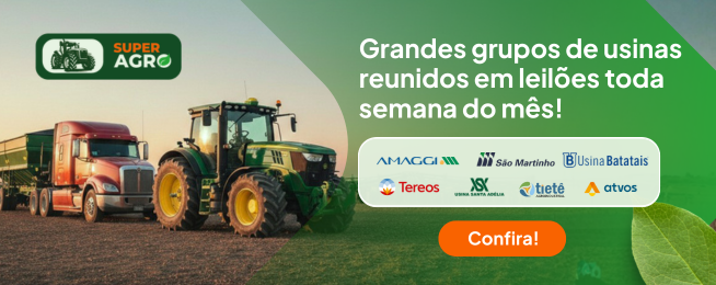 banners_jan-fev_2026 (15).png