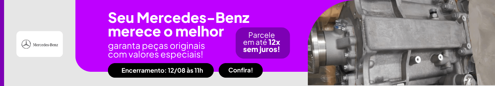 banner_bolsa-leiloes_12122024-1.png